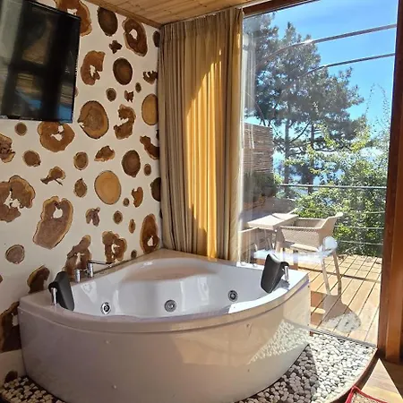 Dajti Alpin Villa *