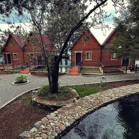 Villa Dajti Alpin *